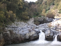 cantara gurne23122011 075